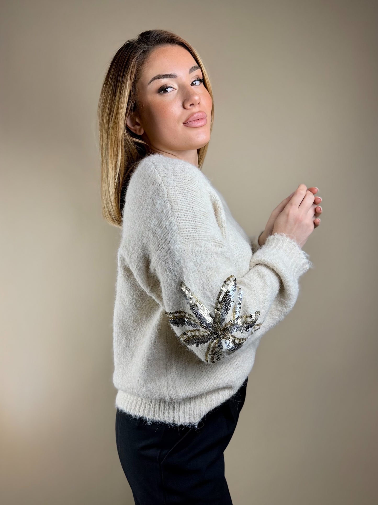 Pull Détails Brillants