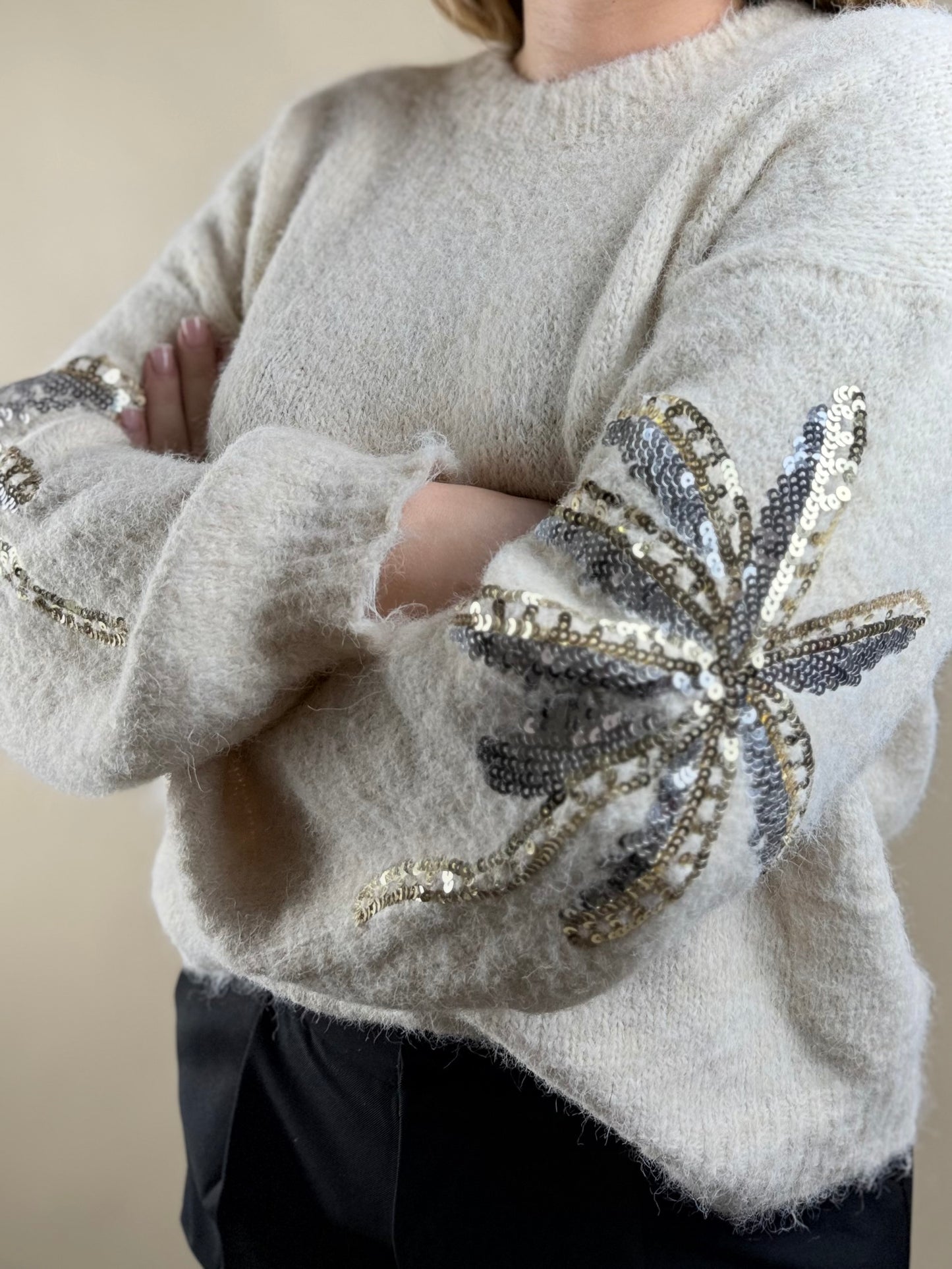 Pull Détails Brillants