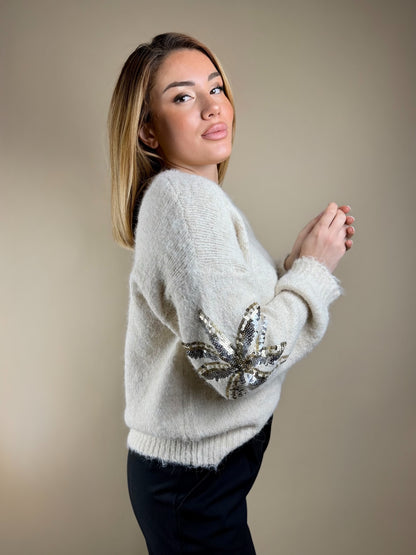 Pull Détails Brillants